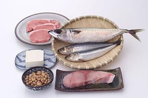 京都四条烏丸で楽しむシェイクシャックの魅力