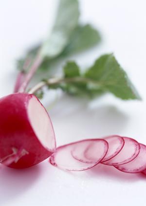 下北沢で本格ナポリピッツァと多彩なイタリアンワインを楽しめる「ラ・ベファーナ」