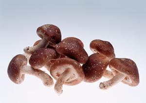 那覇市銘苅で楽しむアメリカンスタイルのビュッフェレストラン「アイランドグリル那覇」