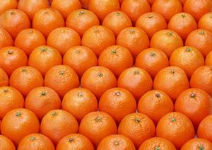 新宿で楽しむ絶品牡蠣とイタリアンの融合!オイスターバー「ジャックポット」徹底ガイド