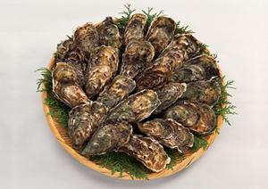 大阪発のお好み焼き文化を世界へ！ぼてぢゅうグループの魅力と展望